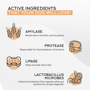 Gnawty Bites Biome Balance Quality Ingredients - Amylase, Protease, Lipase, and Lactobacillus Microbes