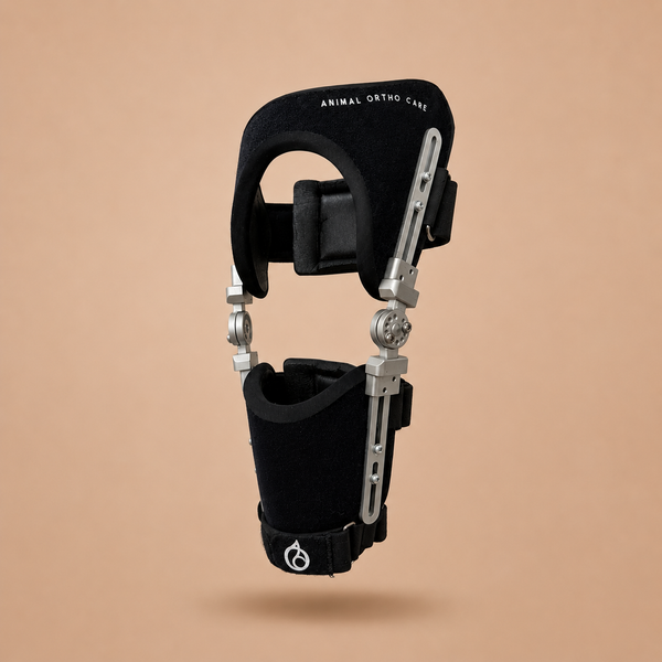 Performance_Dog_Knee_Brace_Pho