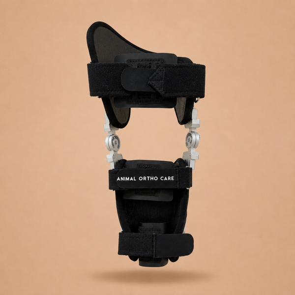 Performance_Dog_Knee_Brace_bac