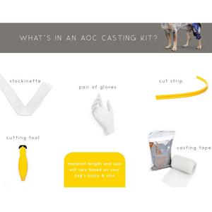 Custom dog knee hock casting kit supplies, supplies for casting custom dog hock brace - Animal Ortho Care