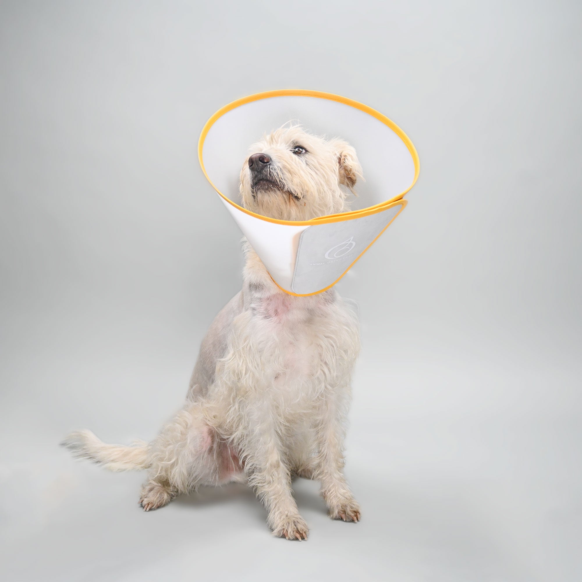 Animal Ortho Care Pet Cone E-Collar Dog Cone Recovery Cone