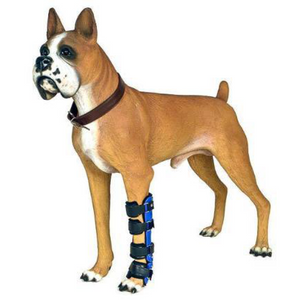 Boxer dog wrist arthritis, Blue custom dog wrist brace
