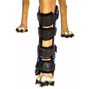 dog carpal injury support, custom dog wrist brace
