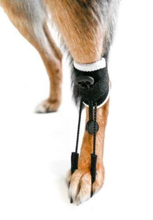 EMbrace Toe-Up Support for Neurological Disorders- AOC Pet Anti-Knuckling