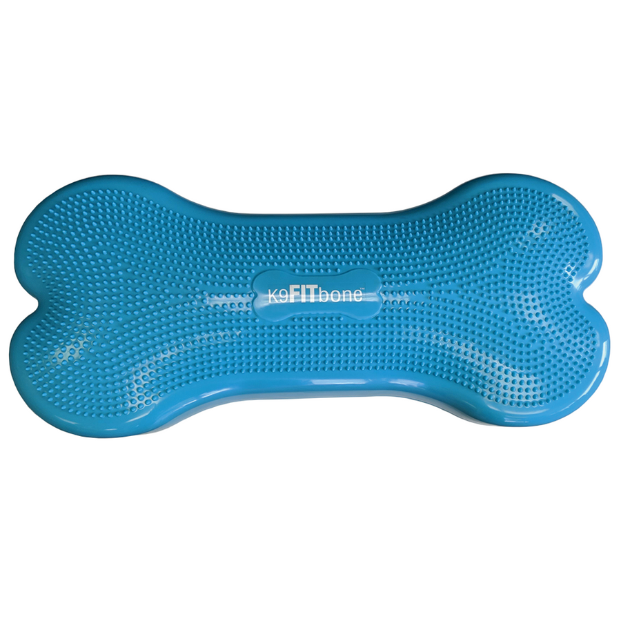 FitPAWS Giant K9FITbone Sky Blue, Large Dog Balance equipment, dog physical therapy tool