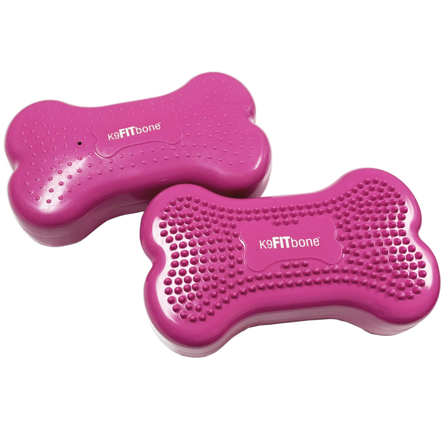 K9FITbone - FitPaws - Mini - Animal Ortho Care