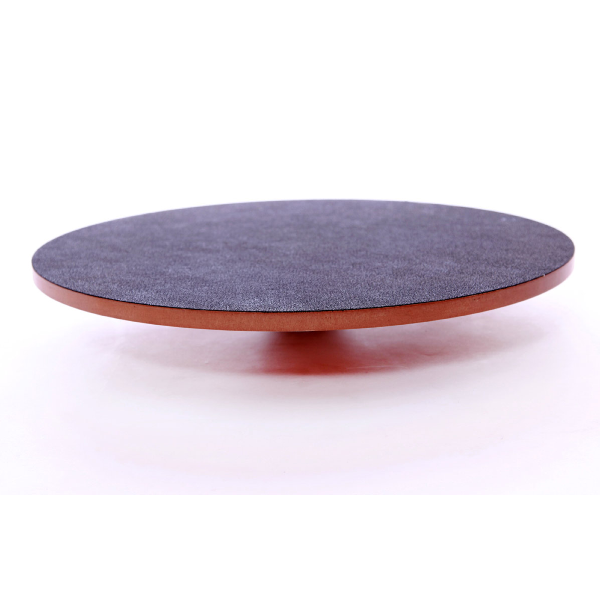 Wobble Board - FitPaws - Animal Ortho Care