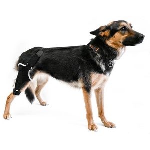 EMbrace Knee Support for Stability- Animal Ortho Care