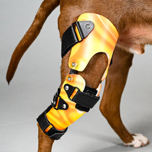Custom dog knee brace, knee brace for dogs, dog acl injury brace, brace for dogs