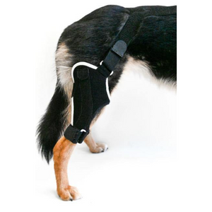 EMbrace Knee Support - Animal Ortho Care