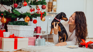 Holistic Gifts for Your Pet - Animal Ortho Care