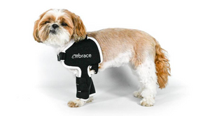 Animal Ortho Care Debuts New Dog Orthopedic Support Line
