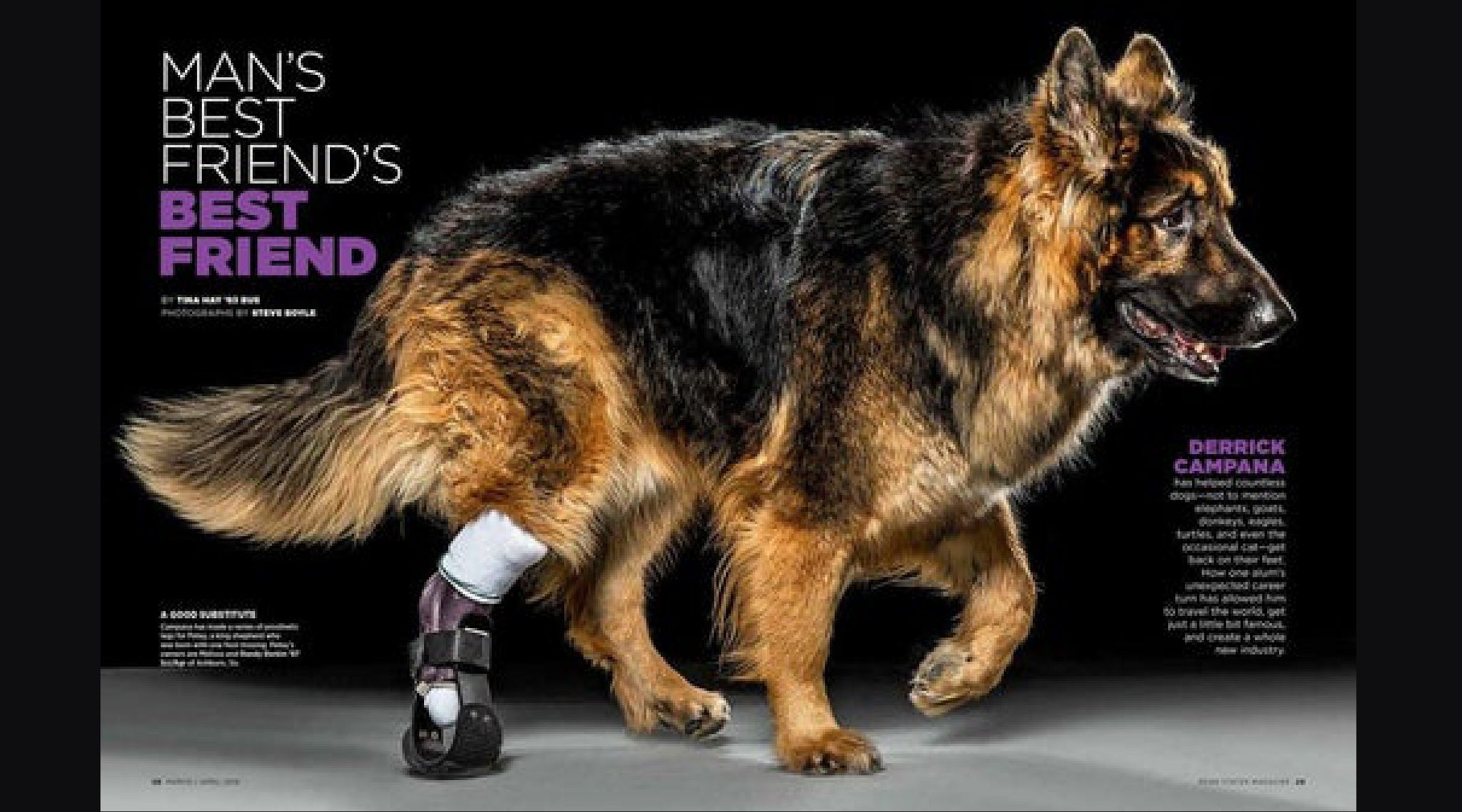 A Dog's Best Friend - Animal Ortho Care