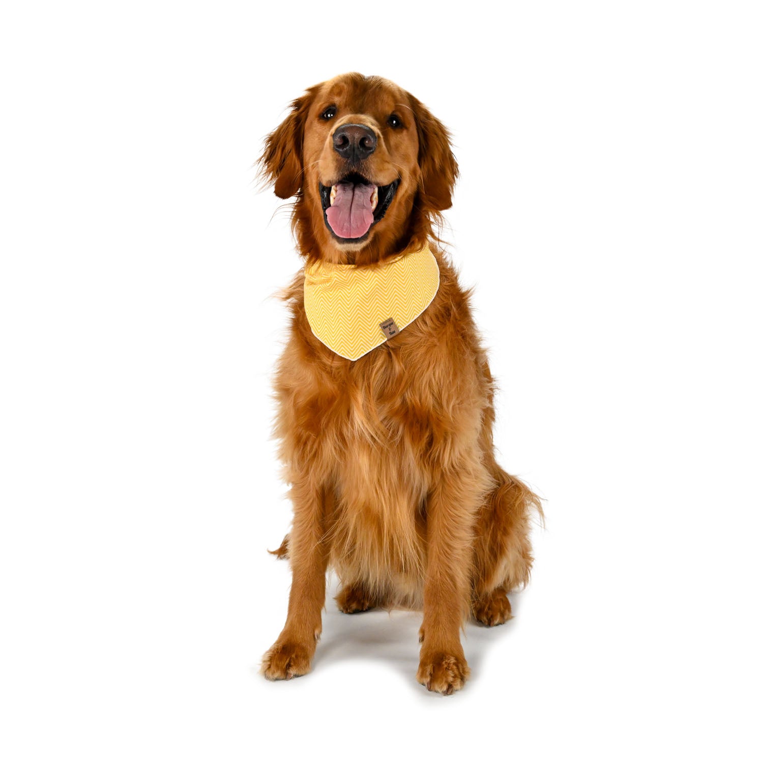 BANDANAS