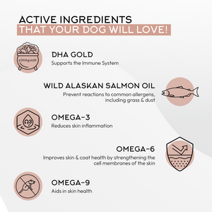 Gnawty Bites Omega Shine Ingredients - DHA Gold, Wild Alaskan Salmon Oil, Omega-3, Omega-6, & Omega-9