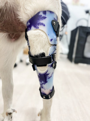 Custom Dog Knee Brace | CCL/ACL Stifle Rear Leg Dog Brace