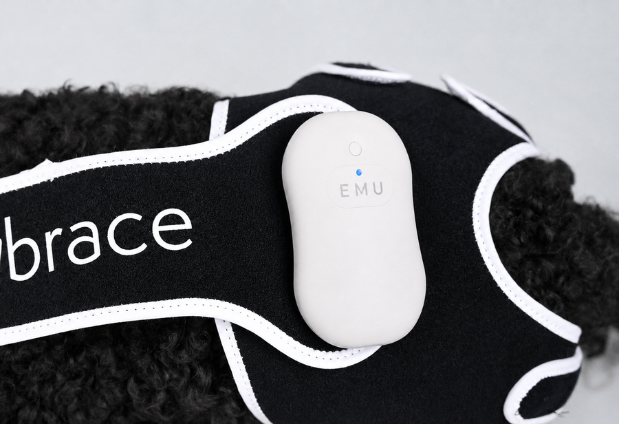 EMbrace Relief System | Hip, Back, & Shoulder Therapy