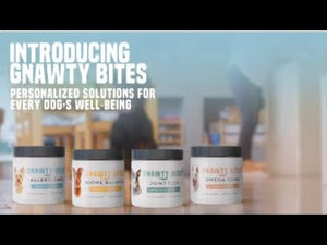 Gnawty Bites - Biome Balance - Digestive Support - Probiotic & Digestive Enzymes