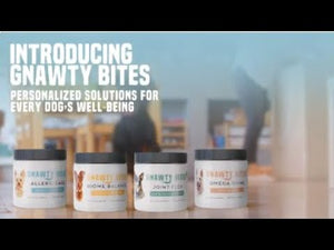 Gnawty Bites - Omega Shine - Skin & Coat Dog Supplement