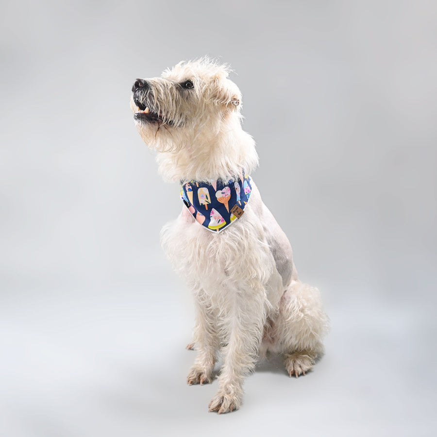 Barque & Bau - Sweet Sorbet Bandana - Animal Ortho Care