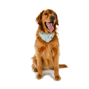 Barque & Bau - Doggy Dwellings Pet Bandana - Animal Ortho Care