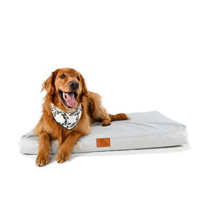 Barque & Bau - Holy Mackerel Pet Bandana - Animal Ortho Care
