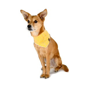 Barque & Bau - Sunlit Chevron Pet Bandana - Animal Ortho Care