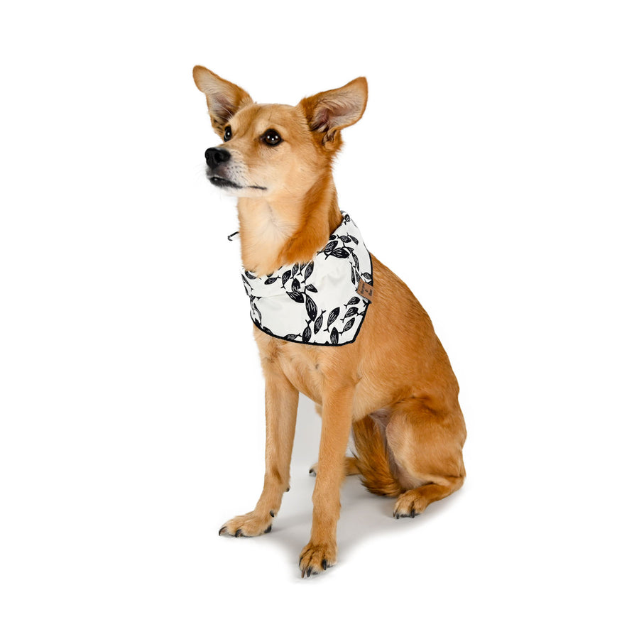 Barque & Bau - Holy Mackerel Pet Bandana - Animal Ortho Care