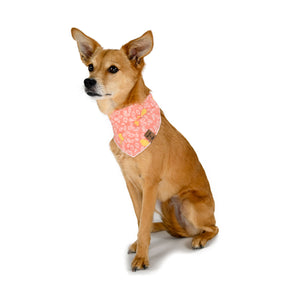 Barque & Bau - Coral & Canary Pet Bandana - Animal Ortho Care