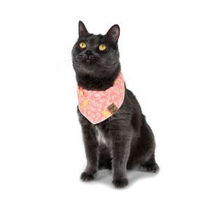 Barque & Bau - Coral & Canary Pet Bandana - Animal Ortho Care