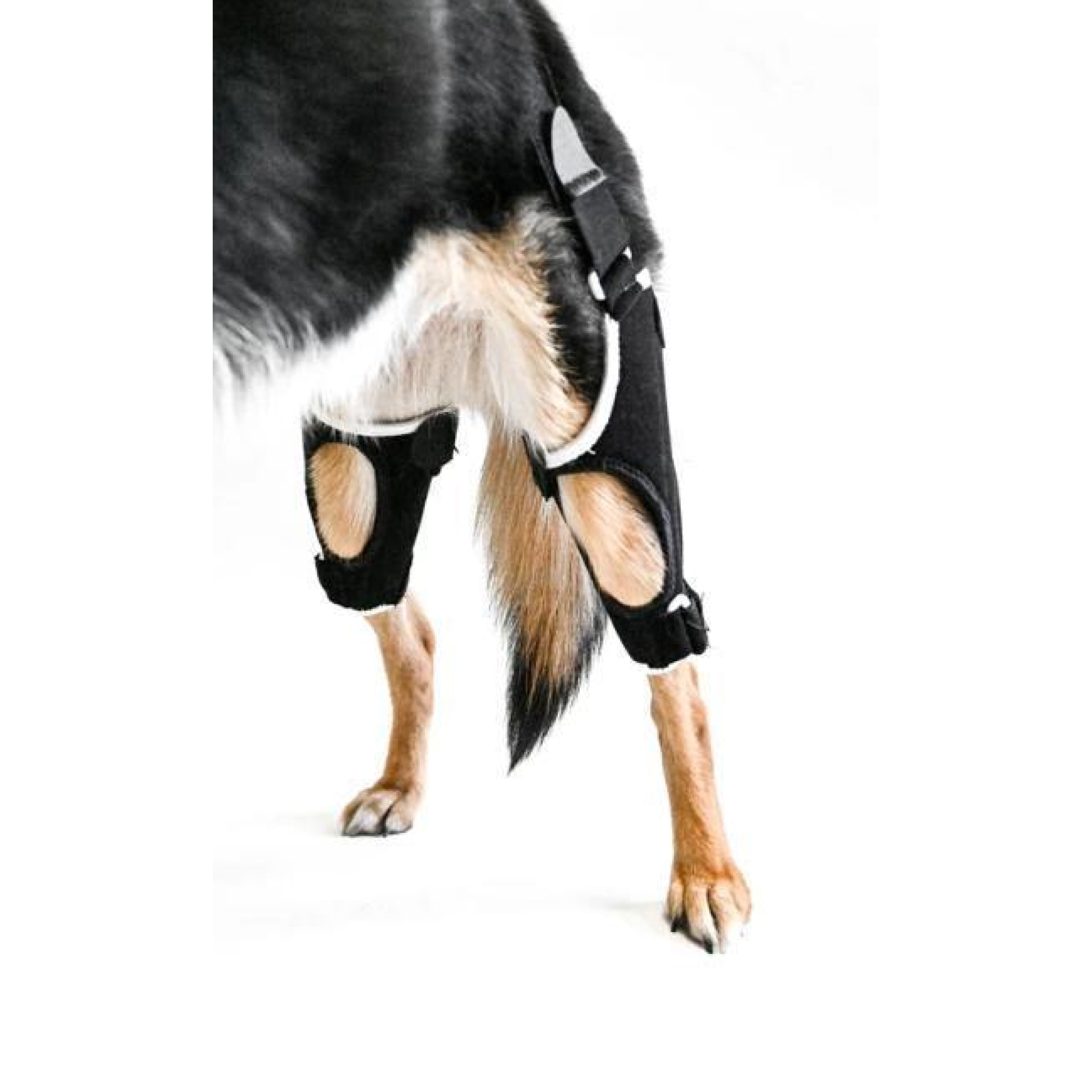 Dog Leg Support Brace Adjustable Rear Leg Brace Dog Thigh - Temu