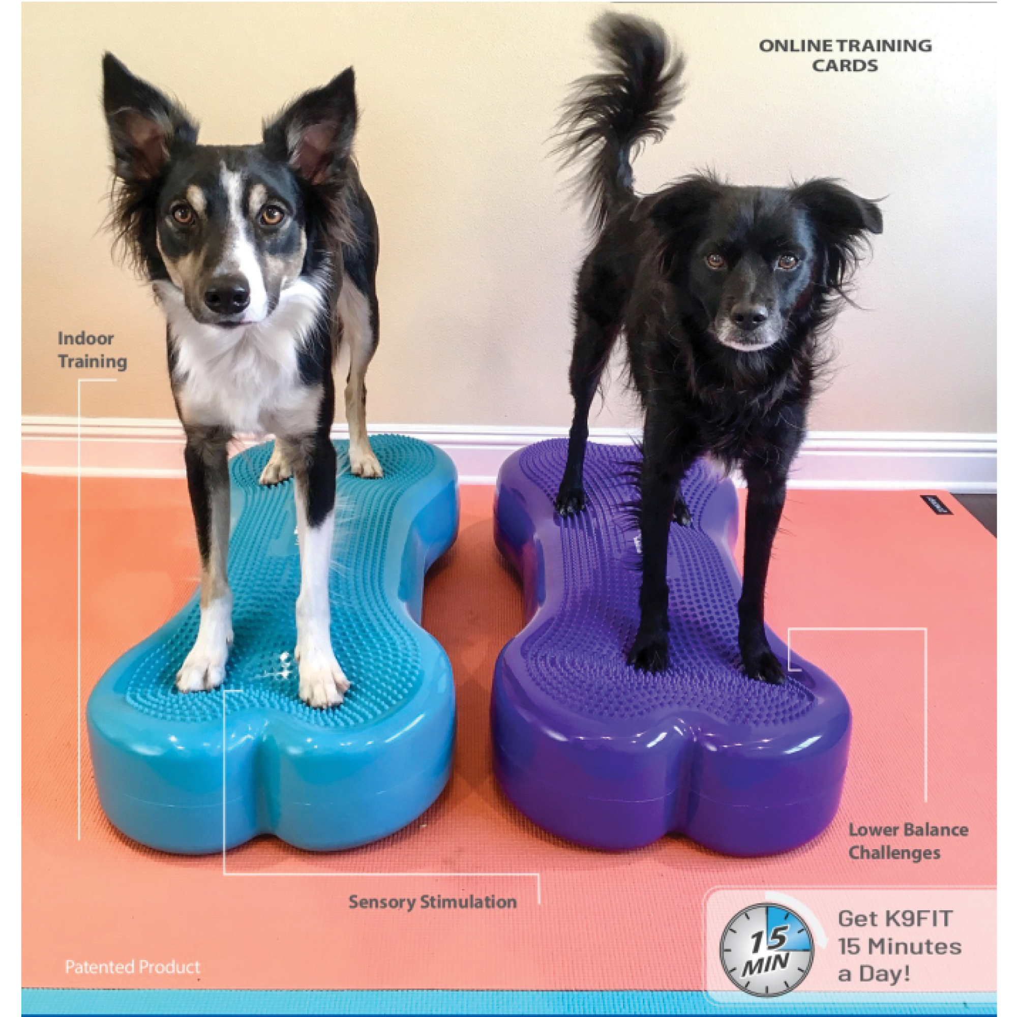 https://www.aocpet.com/cdn/shop/products/Collies-FitPAWSGiantK9FITbone-DogExerciseEquipment.png?v=1656712651