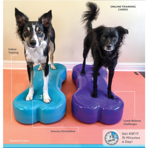 Collies standing on FitPAWS Giant K9FITbones, sensory nubs for dog physical therapy, dog indoor training