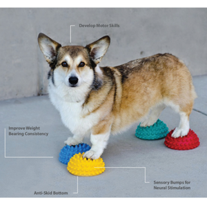 Paw Pods - FitPaws - Animal Ortho Care