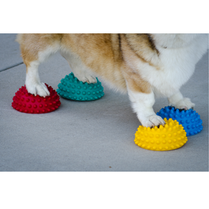 Paw Pods - FitPaws - Animal Ortho Care