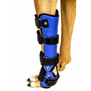 dog carpal collapse support, custom dog carpal brace