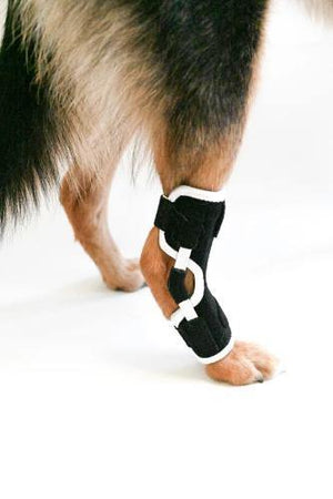 EMbrace Hock Support - Animal Ortho Care
