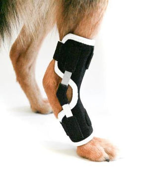 EMbrace Hock Support - Animal Ortho Care