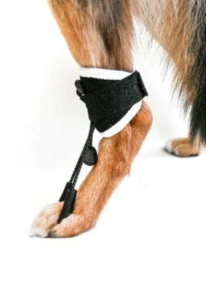 EMbrace Toe-Up Support for Neurological Disorders- Animal Ortho Care