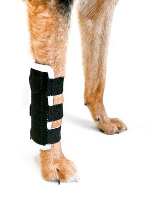 EMbrace Carpal Support - Animal Ortho Care