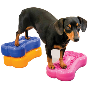 K9FITbone - FitPaws - Mini - Animal Ortho Care