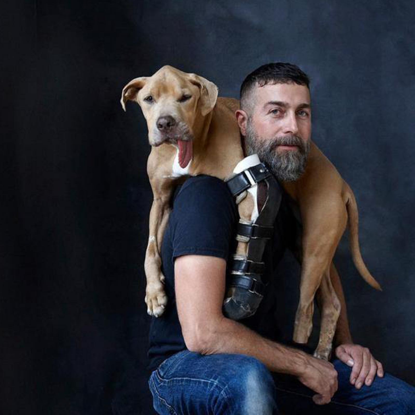 Custom Dog Elbow Brace Dog Front Leg Brace Animal Ortho Care