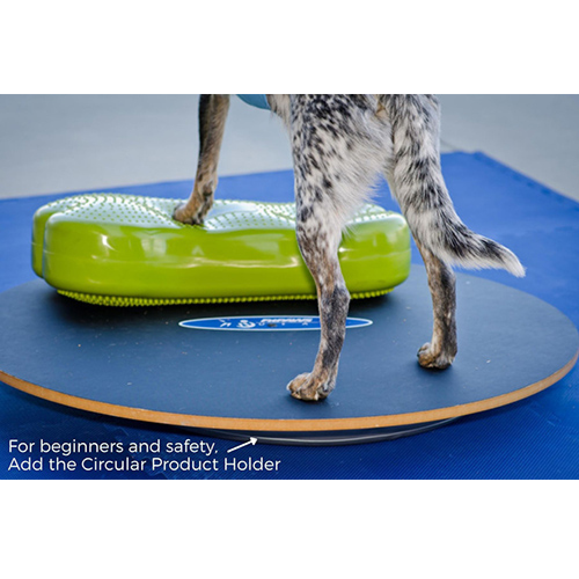 https://www.aocpet.com/cdn/shop/products/Dog-FitPAWSWobbleBoard-DogBalanceTools.png?v=1657214821