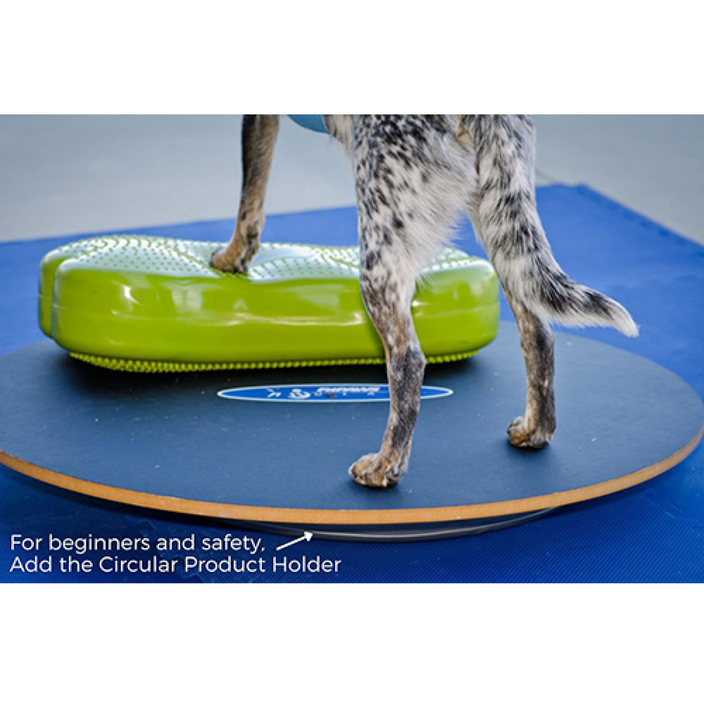 Wobble Board FitPaws Animal Ortho Care