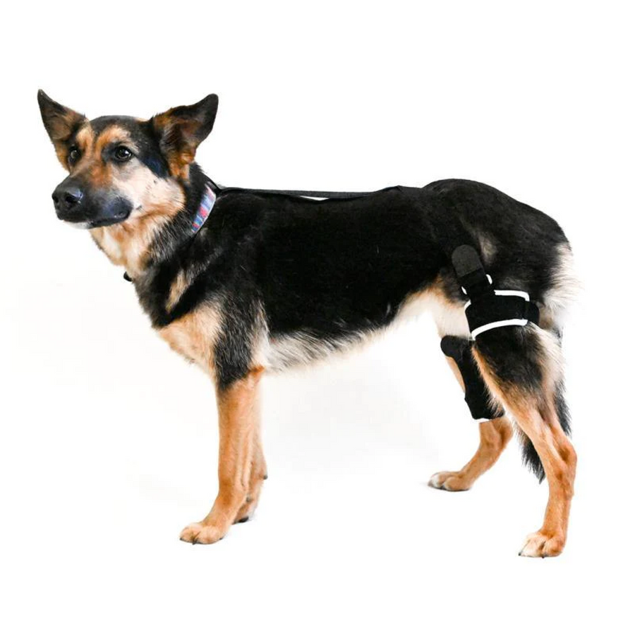 EMbrace Knee Support for Limited Mobility - Animal Ortho Care