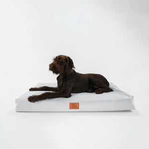 Embed Drift Pet Bed - Animal Ortho Care