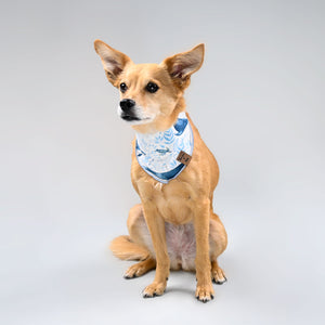 Barque & Bau - Ocean Blues Pet Bandana on Eevee - Animal Ortho Care