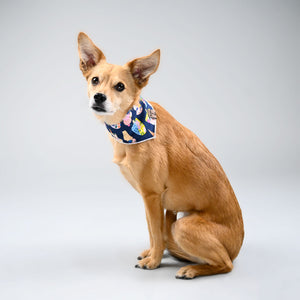 Barque & Bau - Sweet Sorbet Bandana - Animal Ortho Care