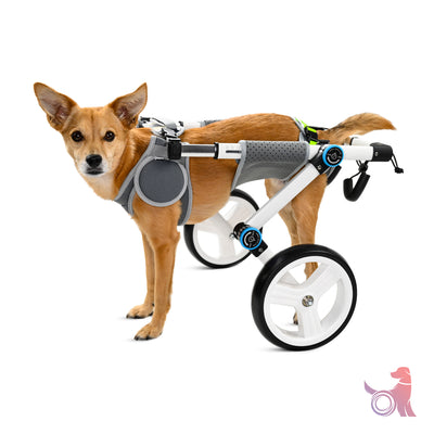 Dog wheelchair discount