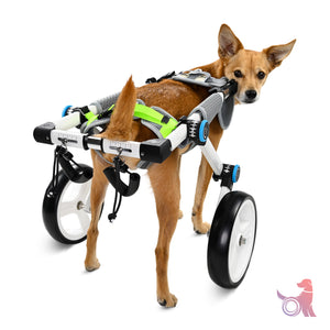 https://www.aocpet.com/products/dog-wheelchair